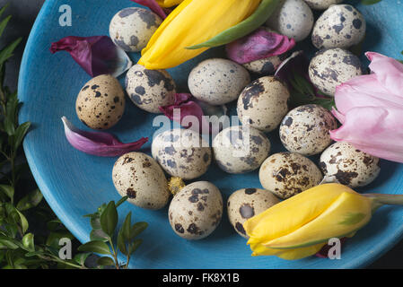 Gruppo di uova di quaglia Foto Stock