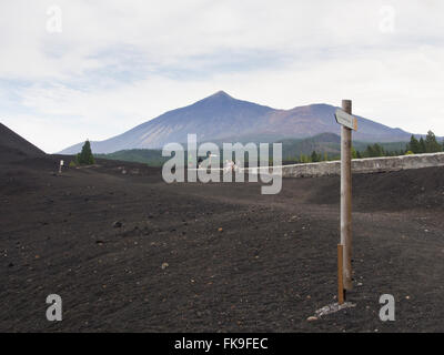 Rocce laviche, sabbia nera e Isola Canarie, pino su una escursione in Montanas Negras, del monte Teide e un cartello per gli escursionisti, Tenerife Foto Stock