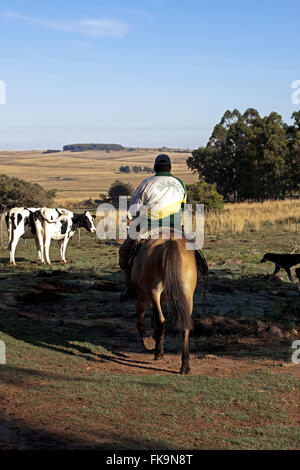 Paesaggio con Cerro Pampa gaucho Jarau l'orizzonte in Quaraa Foto Stock