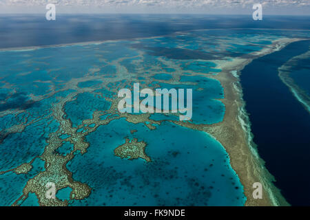 Vista aerea di Hardy Reef, home al cuore reef, nella Grande Barriera Corallina Foto Stock