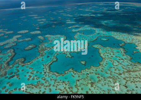 Vista aerea di Hardy Reef, home al cuore reef, nella Grande Barriera Corallina Foto Stock