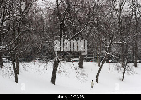 Montreal, Quebec, Canada. Il 7 marzo 2016. Canada meteo: La Fontaine Park a Montreal, Canada Que., Marzo 7, 2016. Credito: Lee Brown/Alamy Live News Foto Stock