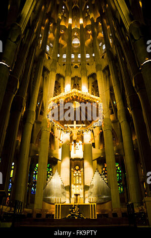 Vista interna della Basilica della Sagrada Familia - Antoni Gaudi project Foto Stock