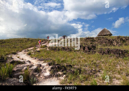 I turisti a piedi sul sentiero fino alla cascata di acqua fredda in Gran Sabana Venezuela Foto Stock