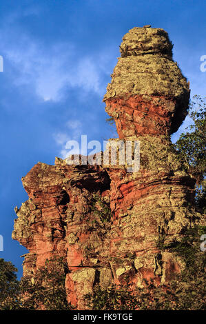 Formazioni di arenaria nella Chapada dos Guimaraes PARNA Foto Stock