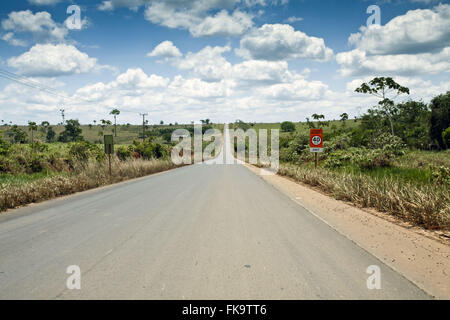 BR-230 Autostrada regione Transamazon nel comune di Altamira - 18 km Foto Stock