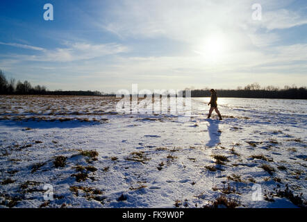 Woman hiking across snow covered farm fields at sunset Foto Stock
