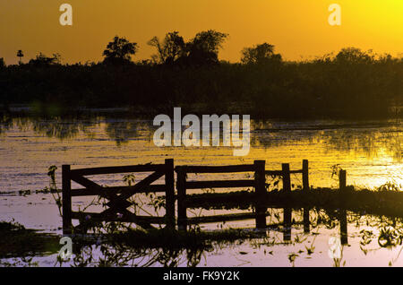 Area Azienda allagata nel Pantanal Sud Foto Stock