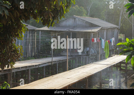 Aruri palafitte vicino al fiume - accanto all'autostrada Cuiaba-Santarem BR 163 Foto Stock