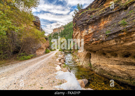 La strada attraverso donna pazzesca Canyon nella Bighorn National Forest vicino a Buffalo, Wyoming Foto Stock