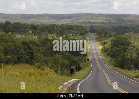 BR-230 Autostrada Transamazon Foto Stock