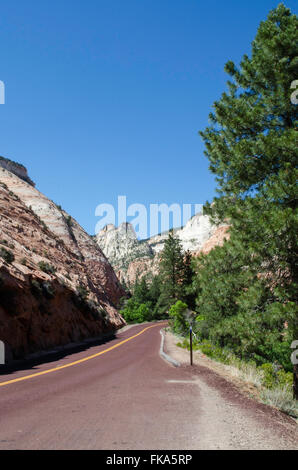 Autostrada che conduce attraverso colorate colline di pietra arenaria con alberi verdi sotto il cielo blu nel Parco Nazionale di Zion, Utah. Foto Stock