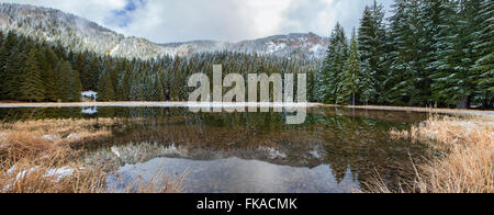 Panorama del paesaggio di un pulito e chiaro lago di montagna d'inverno. Foto Stock