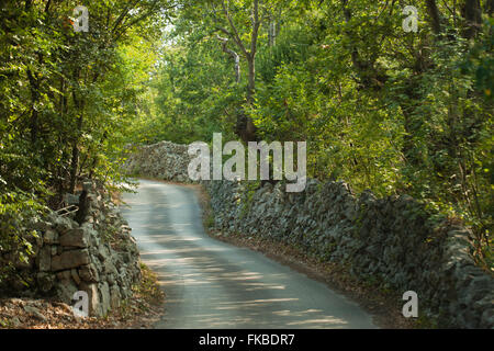 Kroatien, Insel Cres, Lubenice, Strasse mit Steinmauern Foto Stock
