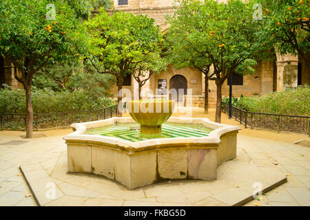 Fontana nel Cortile della Biblioteca Nazionale di Catalogna. Barcellona, in Catalogna, Spagna Foto Stock