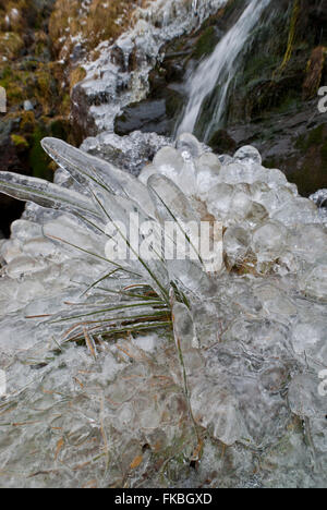 Insolita erba congelate di formazioni di ghiaccio accanto a un lago cascata di distretto Foto Stock