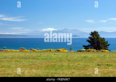 Lago Taupo con le montagne sullo sfondo a molla, Isola del nord della Nuova Zelanda Foto Stock