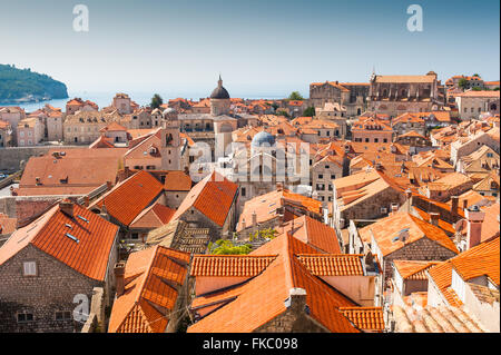 Viste attraverso il tetto di tegole cime dell'antica Città Vecchia di Dubrovnik, Croazia, Europa. Foto Stock