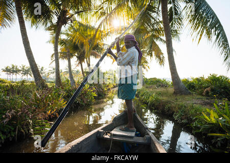 Anthony barcaiolo guida del vaso attraverso il Kerala backwaters vicino a North Paravoor, Kerala, India Foto Stock