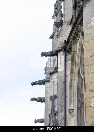 Quattro doccioni sulla Cattedrale di Nevers. Foto Stock