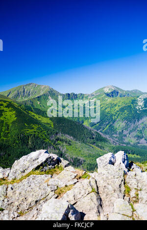 Ispirando Montagne Vista del paesaggio, giornata di sole in estate Tatra, montagna cresta su blu cielo soleggiato, Polonia in Europa Foto Stock