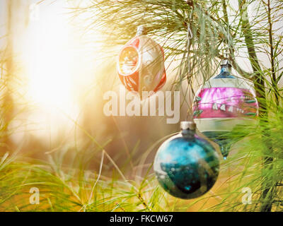 Addobbi natale appeso da albero Foto Stock