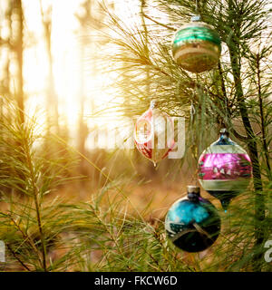 Addobbi natale appeso da albero Foto Stock