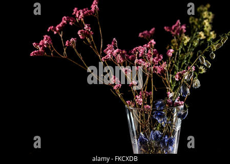 Fiori Secchi in vaso Foto Stock