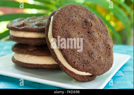 Ice Cream Sandwich - double Chocolate Chip Cookie con burro di arachidi gelato con sfondo tropicale Foto Stock