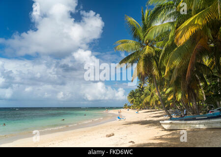 Spiaggia orlata di palme in Las Terrenas, penisola di Samana Repubblica Dominicana, Caraibi, America, Foto Stock