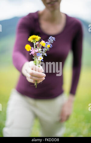 Donna che mantiene i fiori selvatici Foto Stock