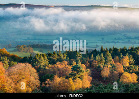 I colori autunnali nr Webber's Post, con nebbia appesa sopra il Holnicote Estate, il Parco Nazionale di Exmoor, Somerset, Inghilterra, Regno Unito Foto Stock