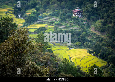 Paesaggio con terrazze di riso e il villaggio sulla collina. Foto Stock