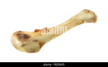 Vista laterale di un osso di pollo con quasi tutta la carne consumata off isolato su uno sfondo bianco. Foto Stock