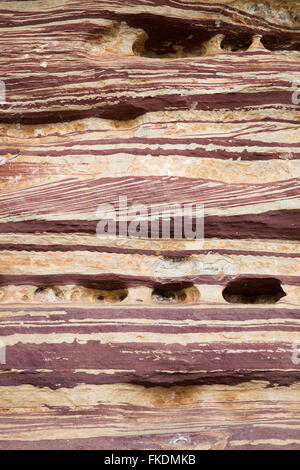 Strati di roccia in Murchison River Gorge a Ross Graham, Kalbarri National Park, Australia occidentale Foto Stock