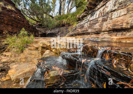 Kalamina Gorge, Karijini National Park, Pilbarra, Australia occidentale Foto Stock
