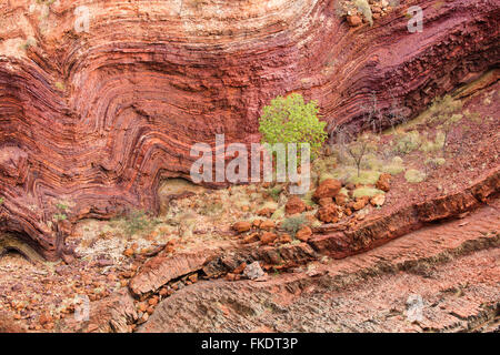 Hamersley Gorge, Karijini National Park, Pilbara, Australia occidentale Foto Stock