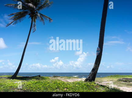 Vista panoramica della spiaggia e palme contro il cielo nuvoloso, Trinidad, Trinidad e Tobago Foto Stock