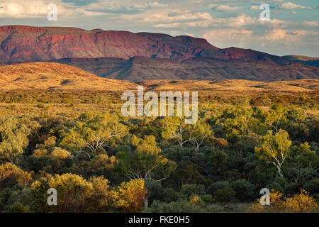 Pilbara, Australia occidentale Foto Stock