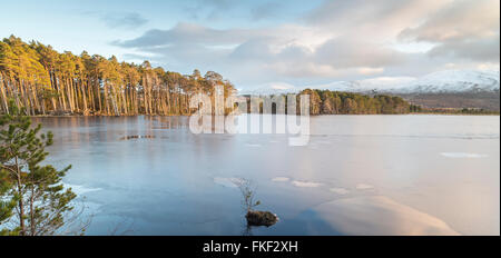 Loch Mallachie nel Parco Nazionale di Cairngorms. Foto Stock