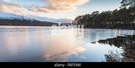 Loch Mallachie nel Parco Nazionale di Cairngorms. Foto Stock