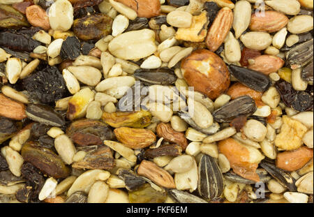 Molto vicino in vista dei semi di un uccello blocco alimentare. Foto Stock