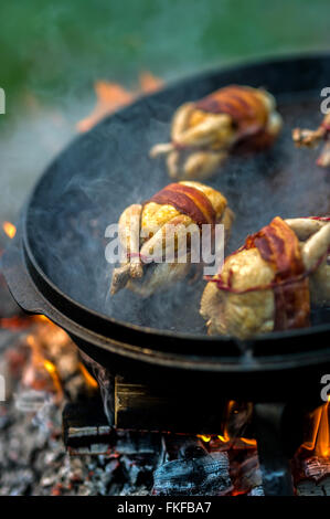 Quaglia con date Foto Stock