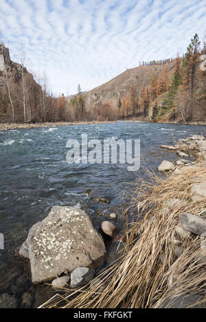 Il fiume Wenaha nella zona nord-est di Oregon. Questa area bruciata nel complesso Grizzly Fire l'anno precedente. Foto Stock