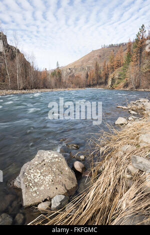 Il fiume Wenaha nella zona nord-est di Oregon. Questa area bruciata nel complesso Grizzly Fire l'anno precedente. Foto Stock