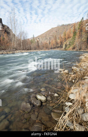 Il fiume Wenaha nella zona nord-est di Oregon. Questa area bruciata nel complesso Grizzly Fire l'anno precedente. Foto Stock