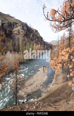 Il fiume Wenaha nella zona nord-est di Oregon. Questa area bruciata nel complesso Grizzly Fire l'anno precedente. Foto Stock