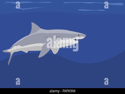 Uno squalo a nuoto in mare Illustrazione Vettoriale