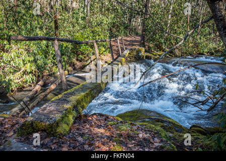 Registro semplice ponte sul veloce movimento creek in Great Smoky Mountain National Park Foto Stock