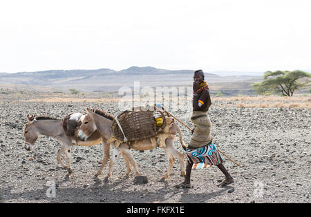 Un Turkana donna con i suoi asini. Turkana donne camminare a lunga distanza in modo da poter raccogliere il legno. Foto Stock